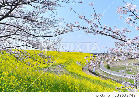 埼玉県・鴻巣市・コスモスアリーナふきあげ 春の風景 埼玉県・鴻巣市・コスモスアリーナふきあげ 春の風景 138635748