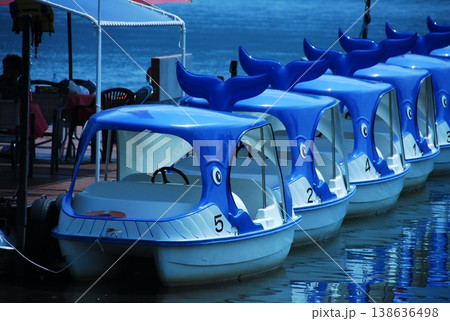 海に浮かぶ足漕ぎボート 138636498
