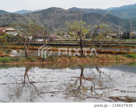 四国山脈と田植え前の香長平野（3本の柿の木と水を張った田んぼのある風景） 138637930