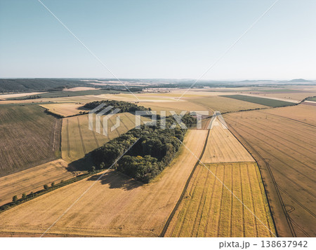 An aerial view of farmland with open fields and patches of trees. The sunlight shines on the crops, highlighting their shapes and colors. This area is likely used for farming. 138637942