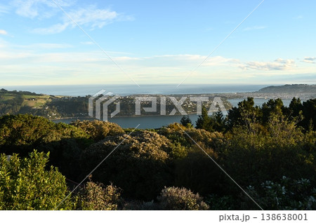 シグナルヒル 138638001