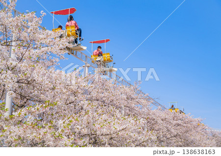 春のmeitoこどもランド・とだがわ、満開の桜とサイクルモノレール〈愛知県名古屋市〉 138638163