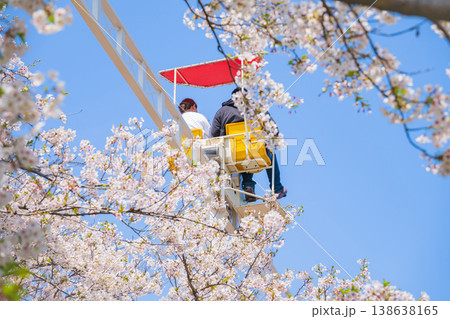 春のmeitoこどもランド・とだがわ、満開の桜とサイクルモノレール〈愛知県名古屋市〉 138638165