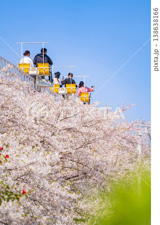 春のmeitoこどもランド・とだがわ、満開の桜とサイクルモノレール〈愛知県名古屋市〉 138638166