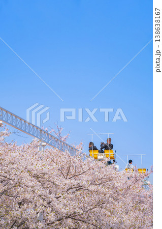 春のmeitoこどもランド・とだがわ、満開の桜とサイクルモノレール〈愛知県名古屋市〉 138638167