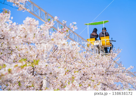 春のmeitoこどもランド・とだがわ、満開の桜とサイクルモノレール〈愛知県名古屋市〉 春のmeitoこどもランド・とだがわ、満開の桜とサイクルモノレール〈愛知県名古屋市〉 138638172