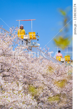 春のmeitoこどもランド・とだがわ、満開の桜とサイクルモノレール〈愛知県名古屋市〉 138638174