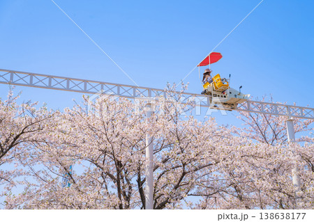 春のmeitoこどもランド・とだがわ、満開の桜とサイクルモノレール〈愛知県名古屋市〉 138638177