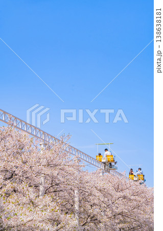 春のmeitoこどもランド・とだがわ、満開の桜とサイクルモノレール〈愛知県名古屋市〉 138638181