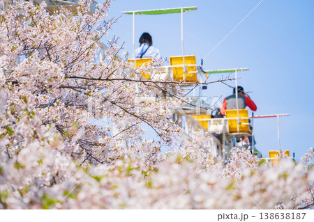 春のmeitoこどもランド・とだがわ、満開の桜とサイクルモノレール〈愛知県名古屋市〉 138638187