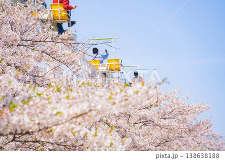 春のmeitoこどもランド・とだがわ、満開の桜とサイクルモノレール〈愛知県名古屋市〉 春のmeitoこどもランド・とだがわ、満開の桜とサイクルモノレール〈愛知県名古屋市〉 138638188