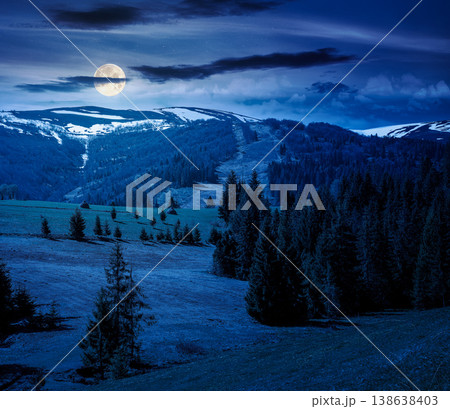 mountain landscape during spring at night. full moon over peaceful countryside scene with coniferous forest near grassy field. mysterious ridge with snow capped top in the distance 138638403