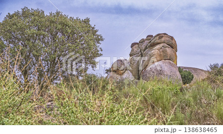 Natural Monument of Los Barruecos, Caceres, Spain 138638465