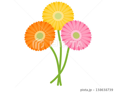 ガーベラのアイコン 138638739