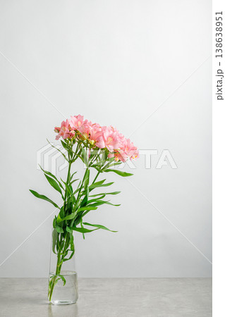 Flowers bouquet pink alstroemeria, Lily of the Incas, in vase on isolated white background Flowers bouquet pink alstroemeria, Lily of the Incas, in vase on isolated white background 138638951