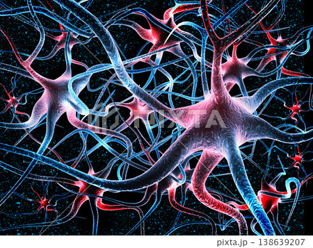 Neural network in the brain Neural network in the brain 138639207