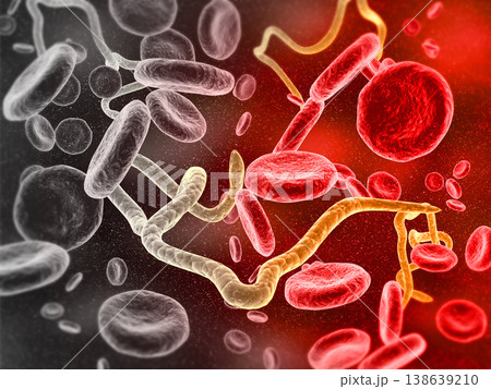 Virus infecting the red bloods 138639210