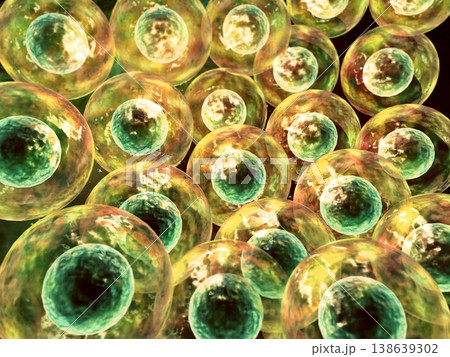 Human cells background 138639302