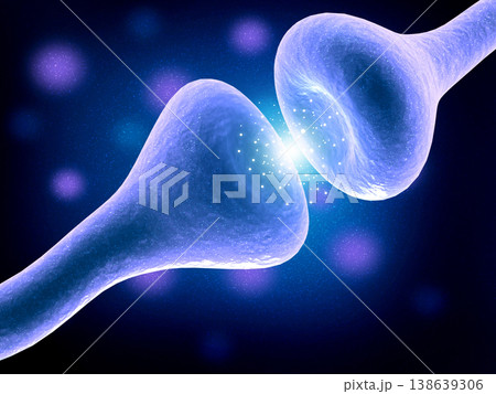 Neural network in the brain Neural network in the brain 138639306