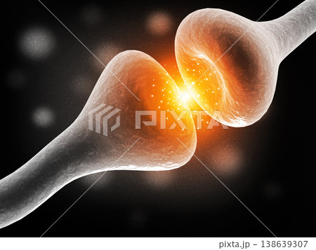 Neural network in the brain Neural network in the brain 138639307
