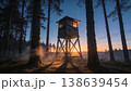 Military watchtower at dawn in pine forest with low sun beams and tall trunks in deep contrast 138639454