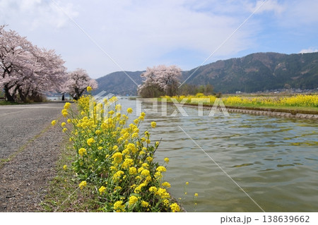 ◇余呉湖と余呉導水路の桜風景(滋賀県長浜市余呉町) ◇余呉湖と余呉導水路の桜風景(滋賀県長浜市余呉町) 138639662