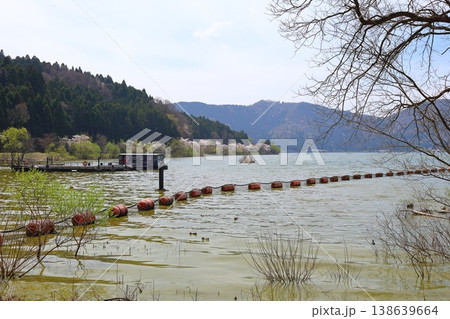◇余呉湖と余呉導水路の桜風景（滋賀県長浜市余呉町） 138639664