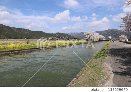 ◇余呉湖と余呉導水路の桜風景（滋賀県長浜市余呉町） 138639670