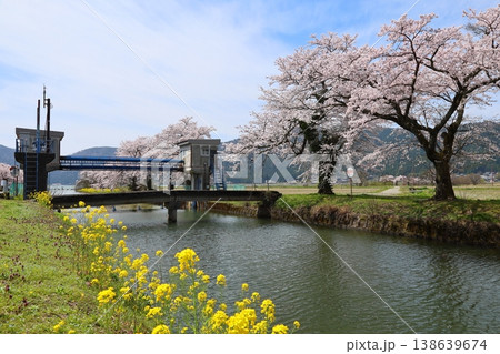 ◇余呉湖と余呉導水路の桜風景(滋賀県長浜市余呉町) ◇余呉湖と余呉導水路の桜風景(滋賀県長浜市余呉町) 138639674