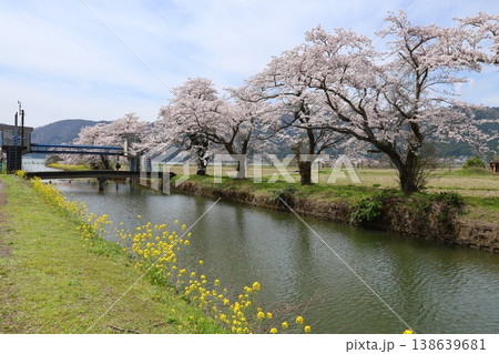◇余呉湖と余呉導水路の桜風景（滋賀県長浜市余呉町） 138639681