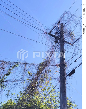 枝が絡まった電柱 枝が絡まった電柱 138640703