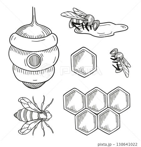 Hand-drawn graphic collection of honeycombs, bees and beehive isolated on white background for product design or packaging 138641022