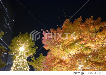 スカイガーデン ライトアップされた紅葉 スカイガーデン ライトアップされた紅葉 138641355