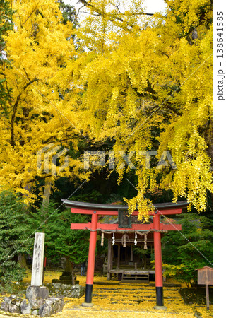 京都 岩戸落葉神社 京都 岩戸落葉神社 138641585
