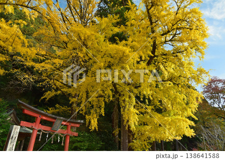 京都 岩戸落葉神社 京都 岩戸落葉神社 138641588
