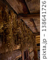 Dried herbs are hung on wooden beams in an old space for preservation during a late afternoon 138641726