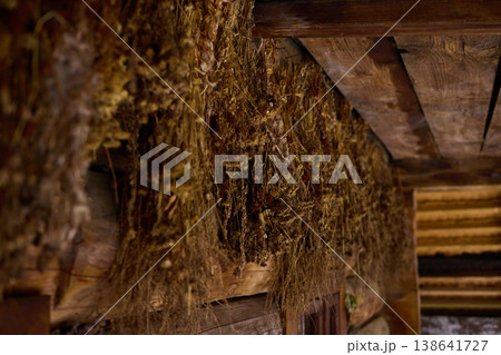 Dried herbs are hung on wooden beams in an old space for preservation during a late afternoon Dried herbs are hung on wooden beams in an old space for preservation during a late afternoon 138641727