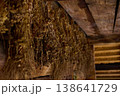 Dried herbs are hung on wooden beams in an old space for preservation during a late afternoon 138641729