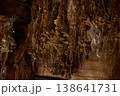 Dried herbs are hung on wooden beams in an old space for preservation during a late afternoon 138641731