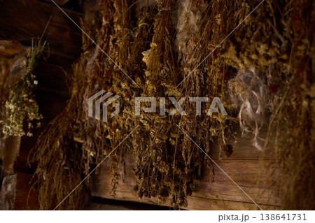 Dried herbs are hung on wooden beams in an old space for preservation during a late afternoon Dried herbs are hung on wooden beams in an old space for preservation during a late afternoon 138641731