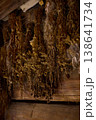 Dried herbs are hung on wooden beams in an old space for preservation during a late afternoon 138641734