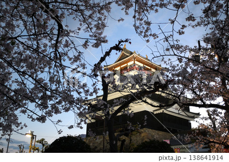 桜に包まれる清州城 138641914