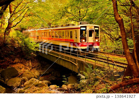 紅葉の渓流を眺めつつ奥鬼怒路を行く…龍王峡駅にて『6050系』 紅葉の渓流を眺めつつ奥鬼怒路を行く…龍王峡駅にて『6050系』 138641927