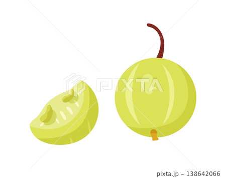 Green gooseberry fruit set with branch, leaves, whole berries and half slice, fresh garden berry botanical clipart, flat cartoon vector illustration isolated on white background Green gooseberry fruit set with branch, leaves, whole berries and half slice, fresh garden berry botanical clipart, flat cartoon vector illustration isolated on white background 138642066