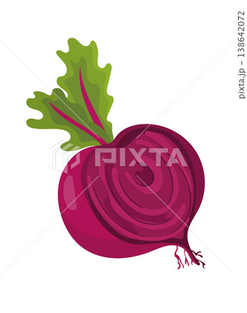 Red beetroot with green leaves, simple flat vector illustration, organic root vegetable isolated on white background. Red beetroot with green leaves, simple flat vector illustration, organic root vegetable isolated on white background. 138642072