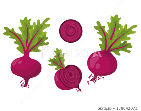 Red beetroot with green leaves, simple flat vector illustration, organic root vegetable isolated on white background. Red beetroot with green leaves, simple flat vector illustration, organic root vegetable isolated on white background. 138642073