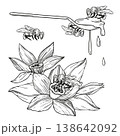 Hand-drawn graphic detailed illustration of bees, vanilla flowers, spoon of fresh honey for packaging, product design, ingredients 138642092