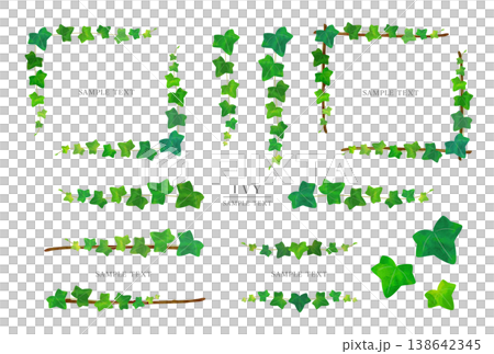 一組以常春藤葉為主題的自然裝飾邊框插圖。 138642345