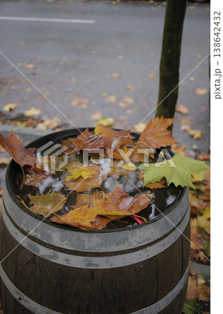 An oak barrel on an autumn street. An oak barrel on an autumn street. 138642432