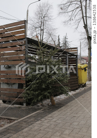 A Christmas tree thrown into a garbage dump. A Christmas tree thrown into a garbage dump. 138642538